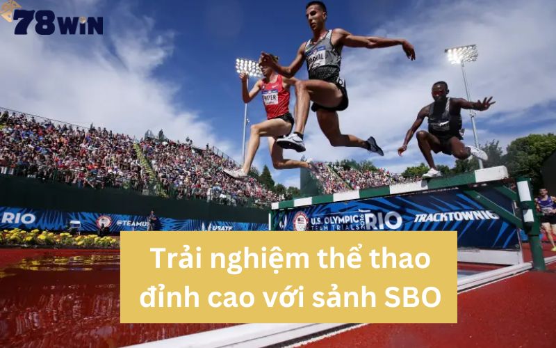 Các mức cược đa dạng trong SBO thể thao